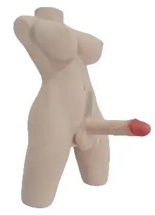 Cheap Shemale Sex Doll Torso - XLifeDoll
