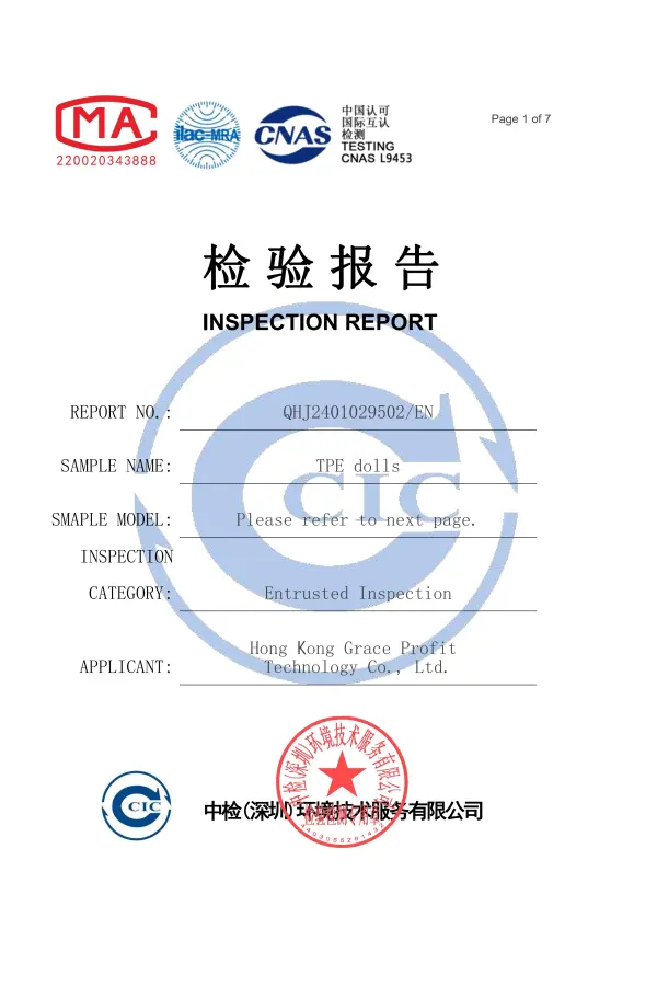 RIDMII Doll RoHS compliance certificate for electrical and environmental safety